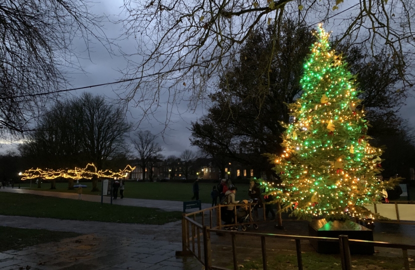 Part of the Salisbury Christmas Tree Trail